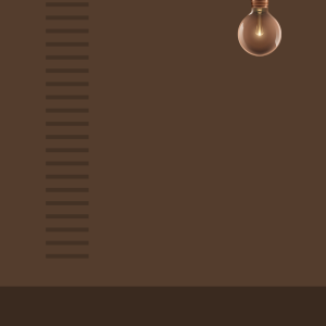 প্যারাডক্সিক্যাল সাজিদ ২