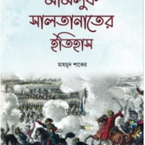 মামলুক সালতানাতের ইতিহাস